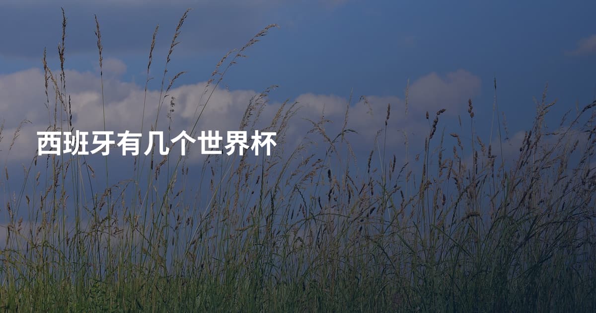 西班牙有几个世界杯