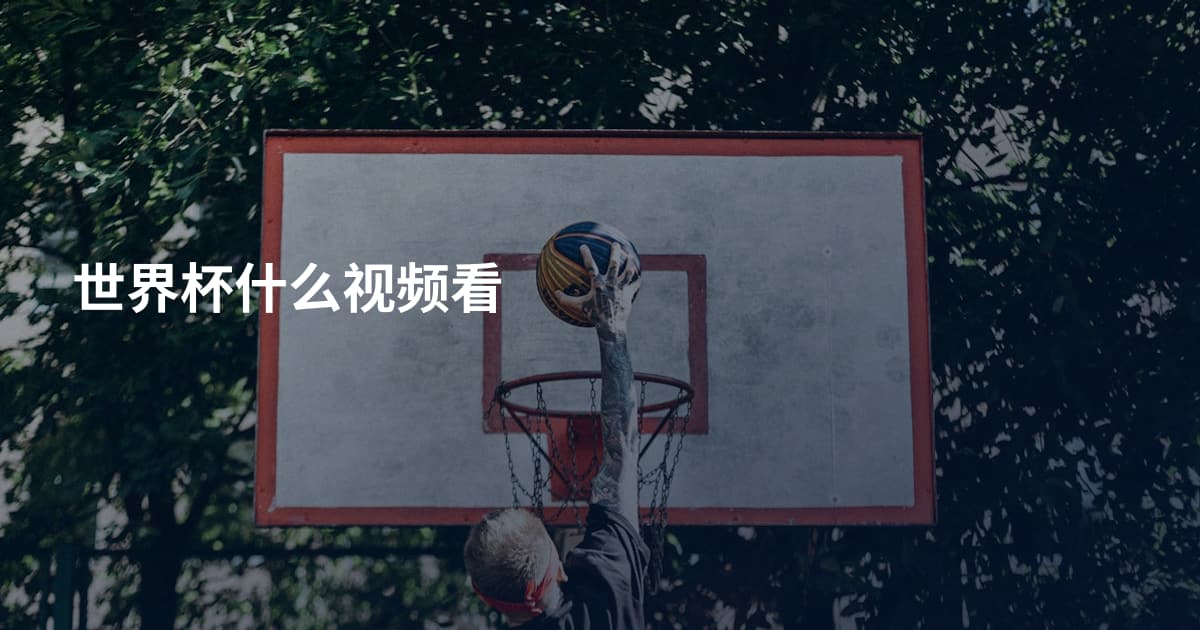 世界杯什么视频看