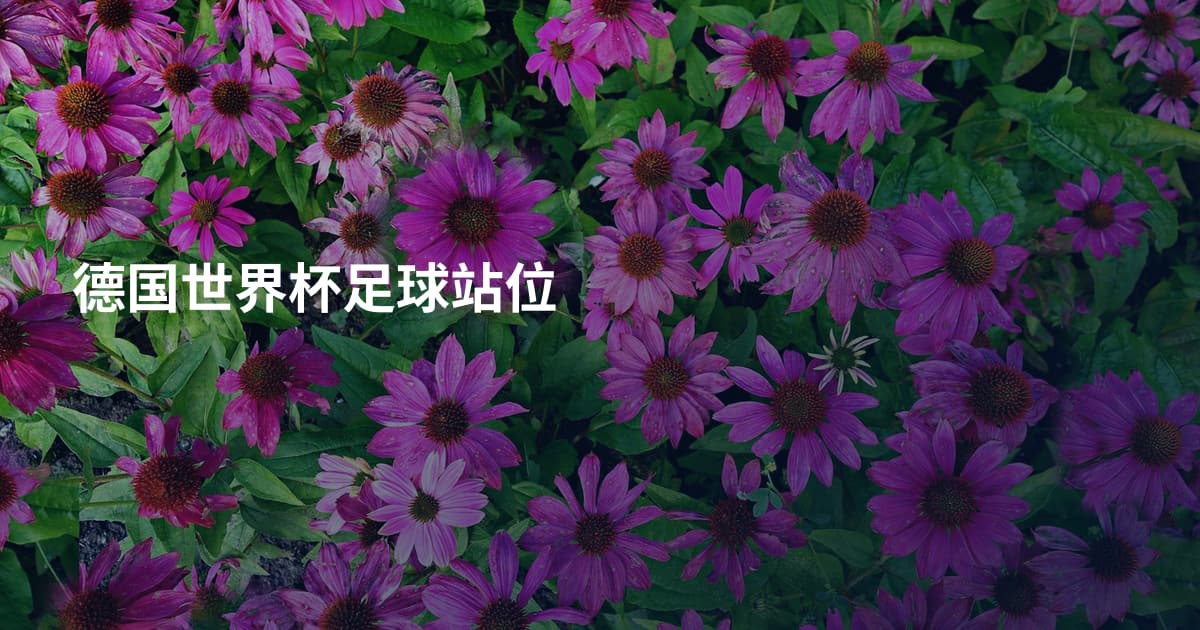 德国世界杯足球站位