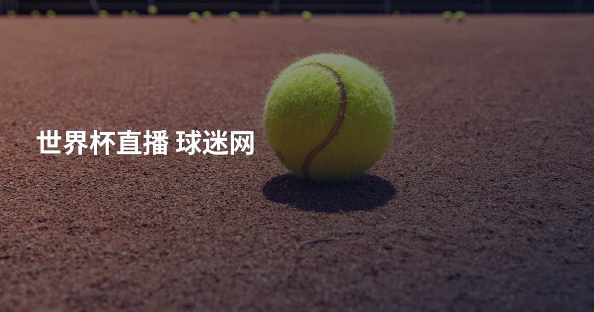 世界杯直播 球迷网