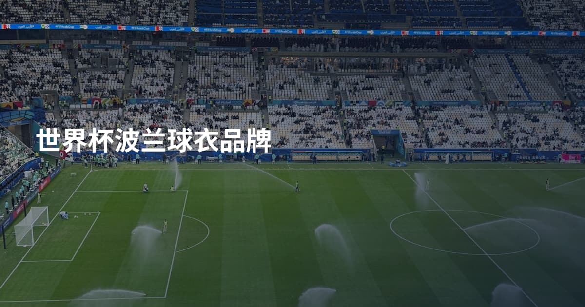 世界杯波兰球衣品牌