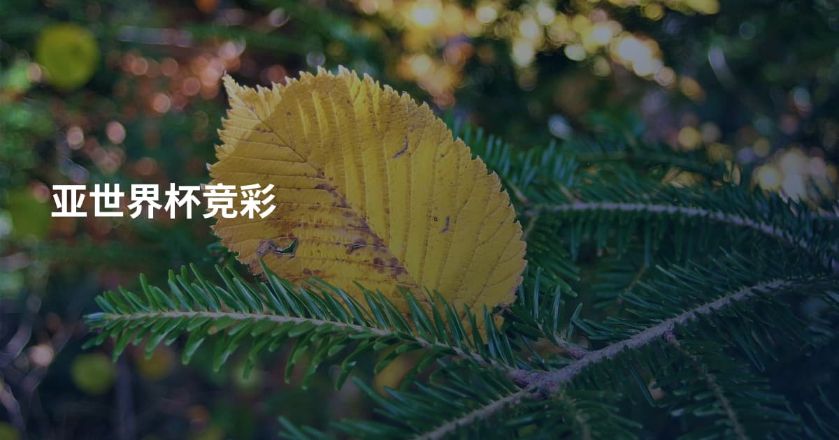 亚世界杯竞彩