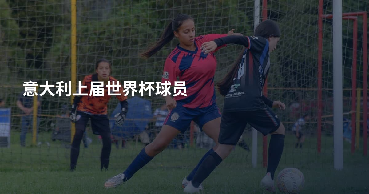 意大利上届世界杯球员