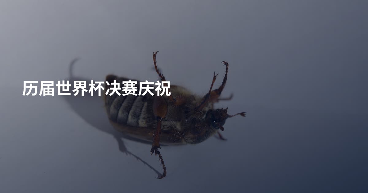 历届世界杯决赛庆祝