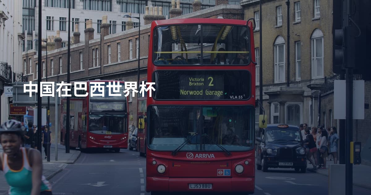 中国在巴西世界杯