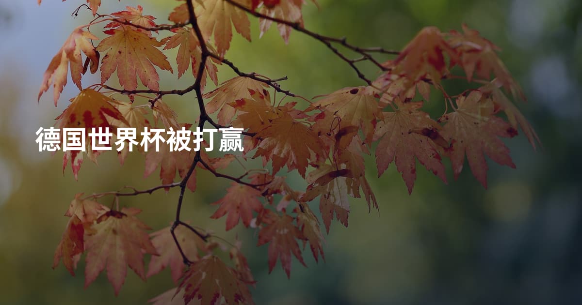 德国世界杯被打赢