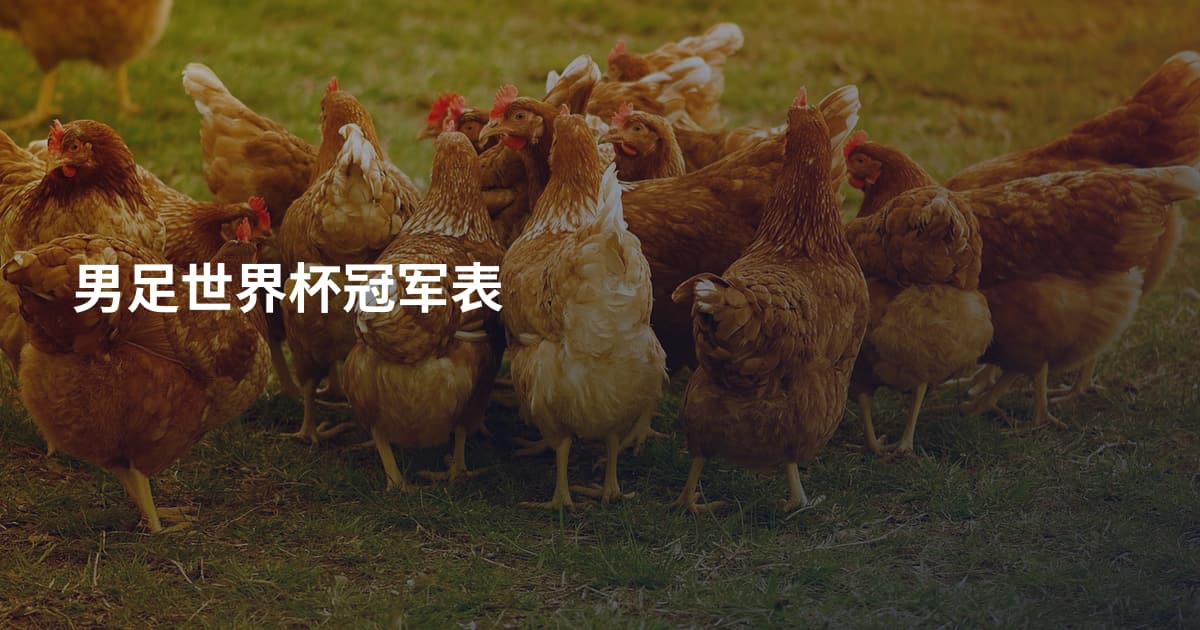 男足世界杯冠军表