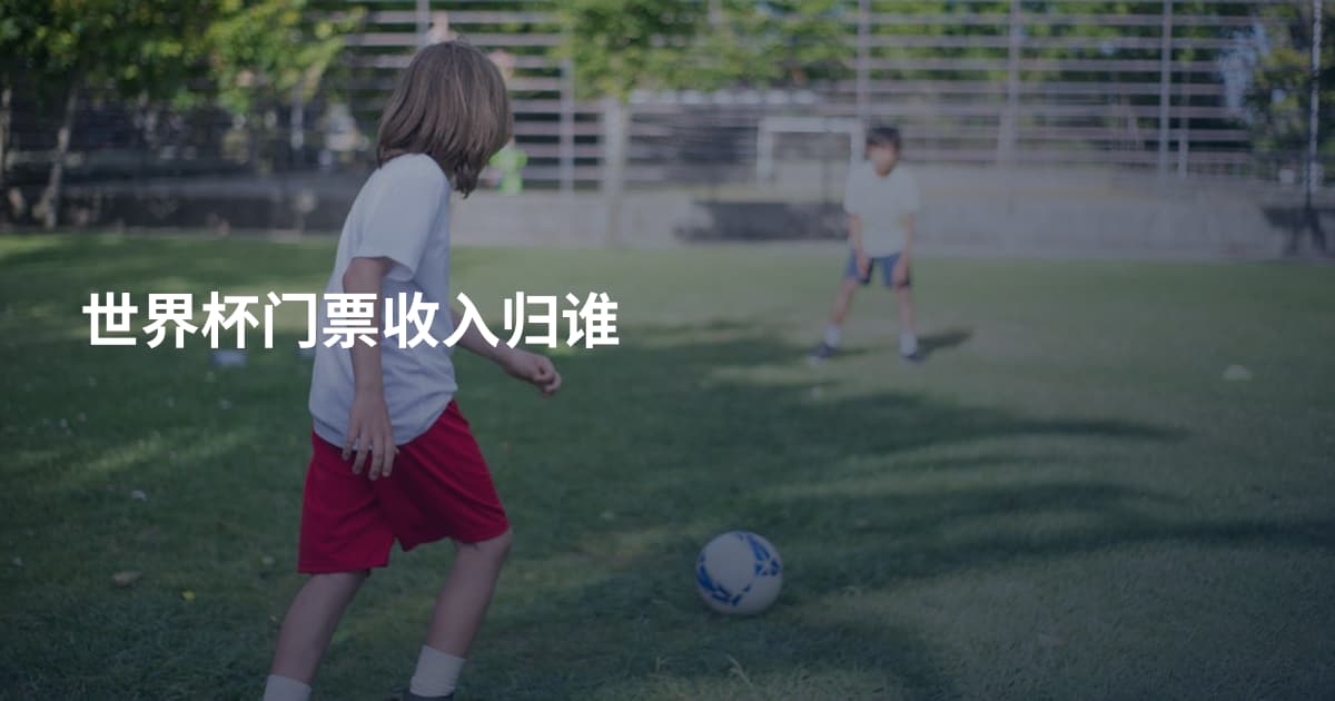 世界杯门票收入归谁