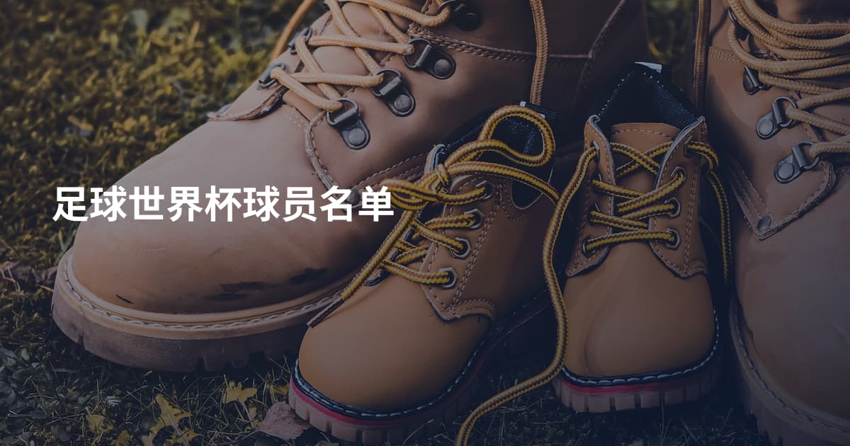 足球世界杯球员名单
