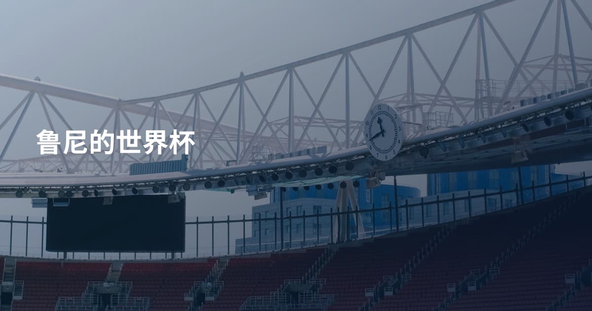 鲁尼的世界杯