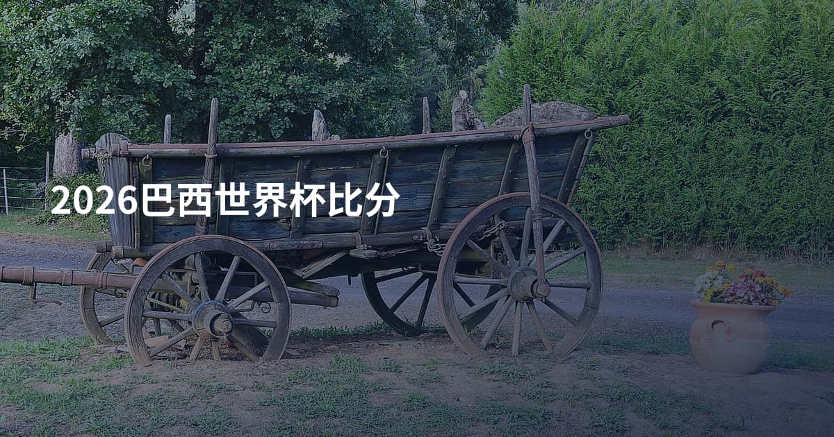 2026巴西世界杯比分