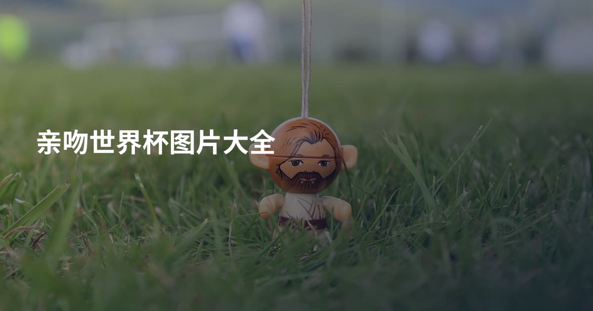 亲吻世界杯图片大全
