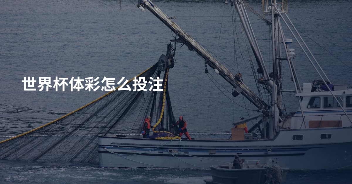 世界杯体彩怎么投注