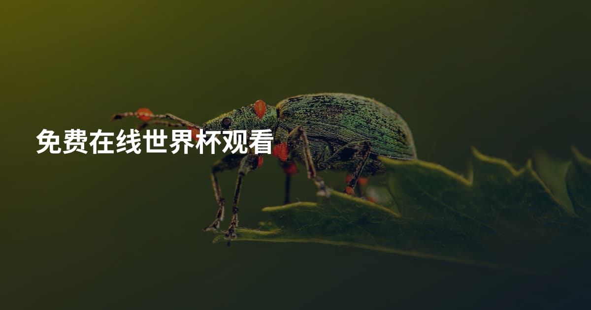 免费在线世界杯观看