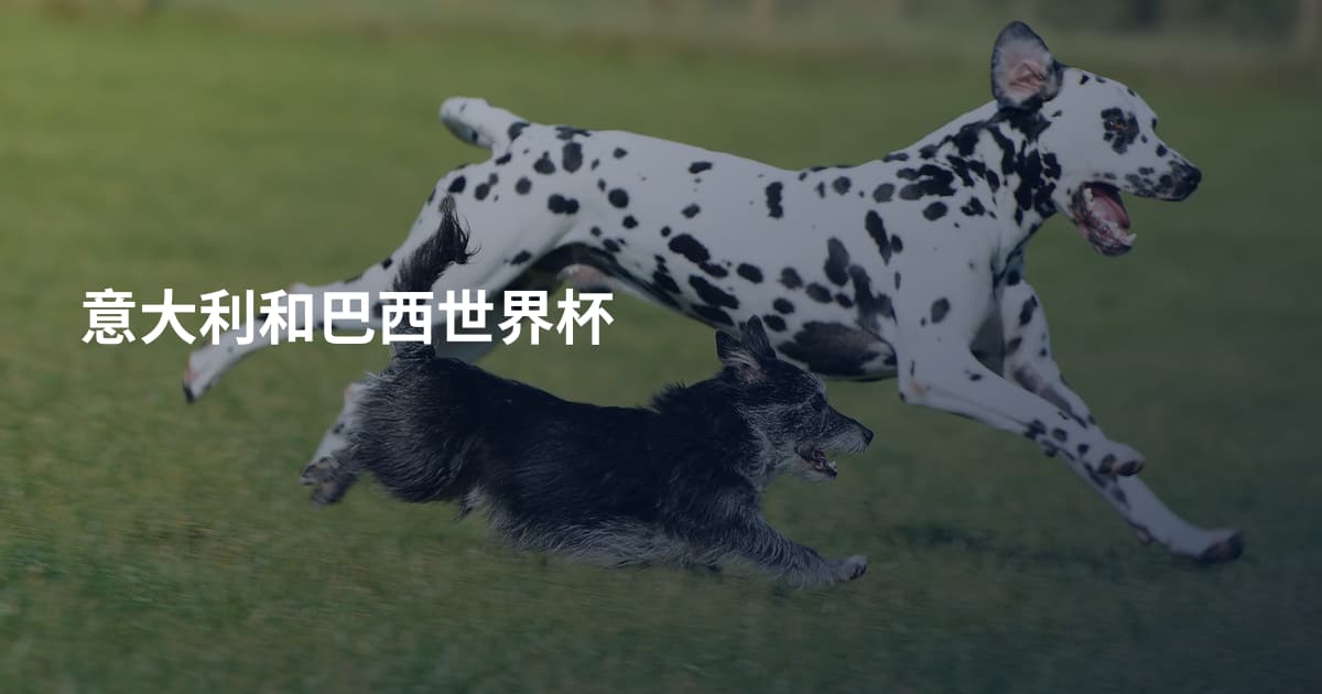意大利和巴西世界杯
