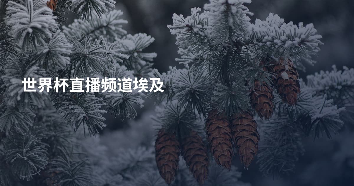 世界杯直播频道埃及