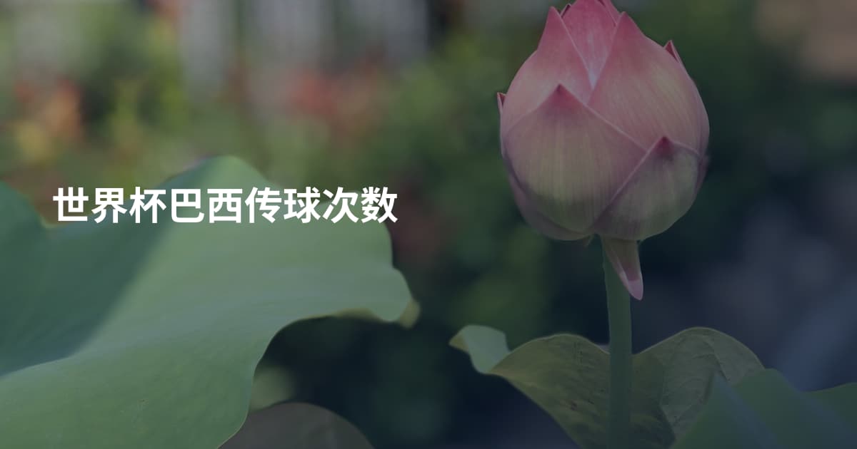 世界杯巴西传球次数