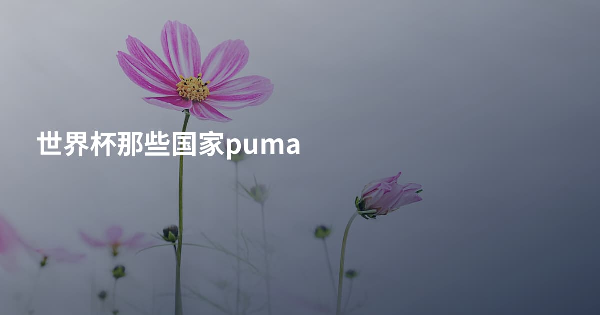 世界杯那些国家puma