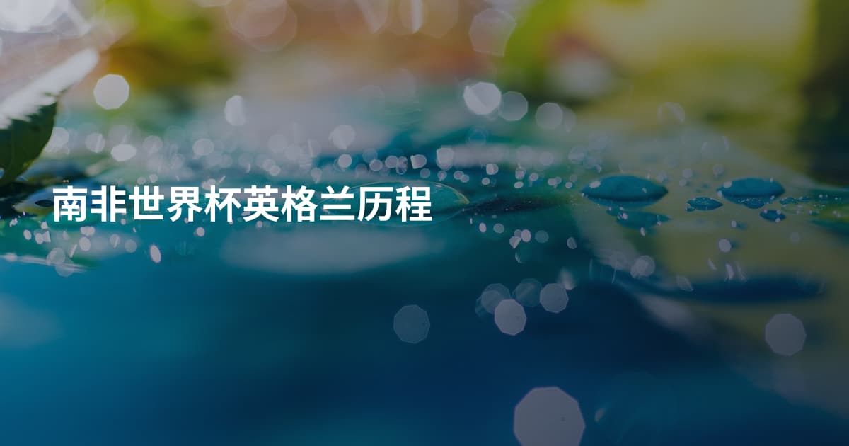 南非世界杯英格兰历程