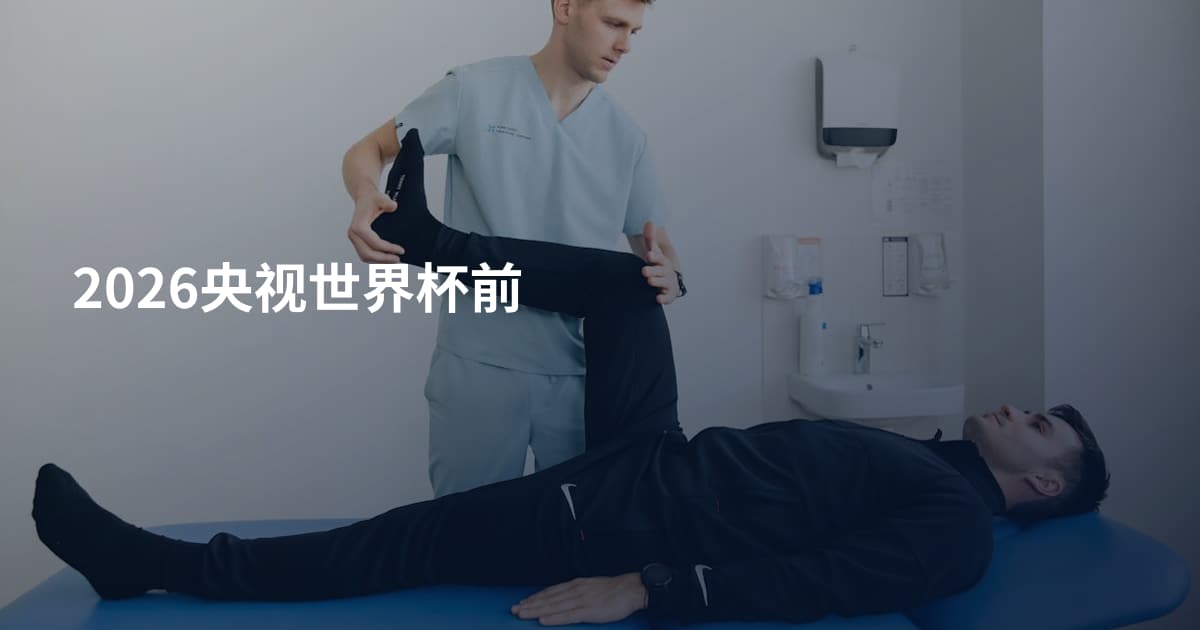 2026央视世界杯前