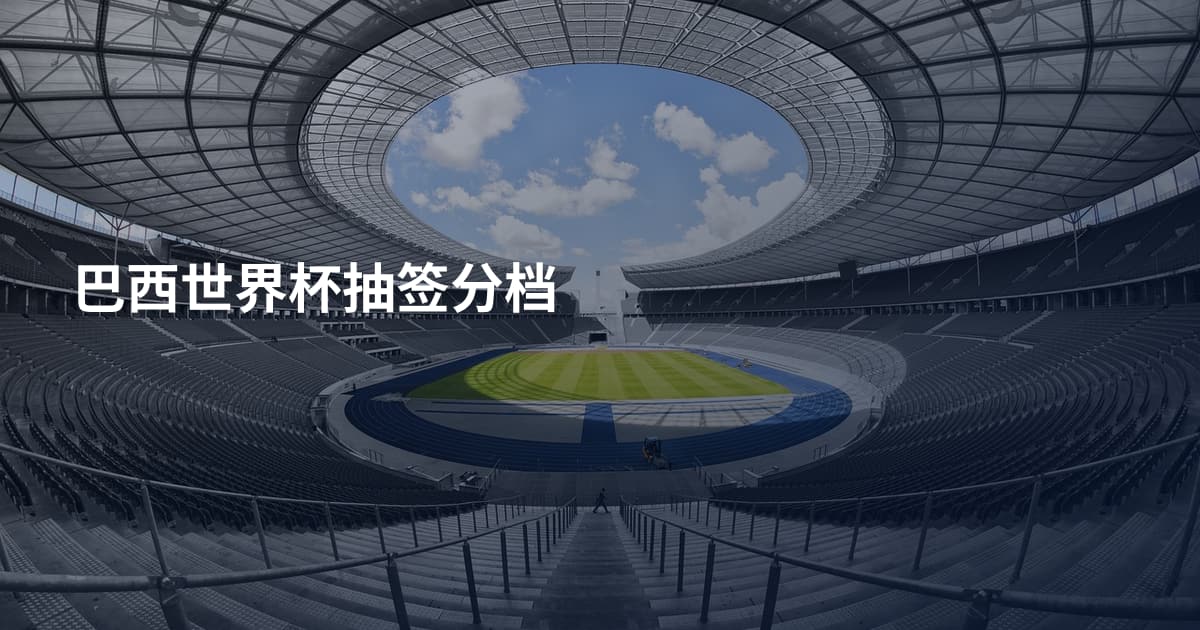 巴西世界杯抽签分档