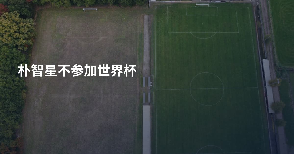 朴智星不参加世界杯
