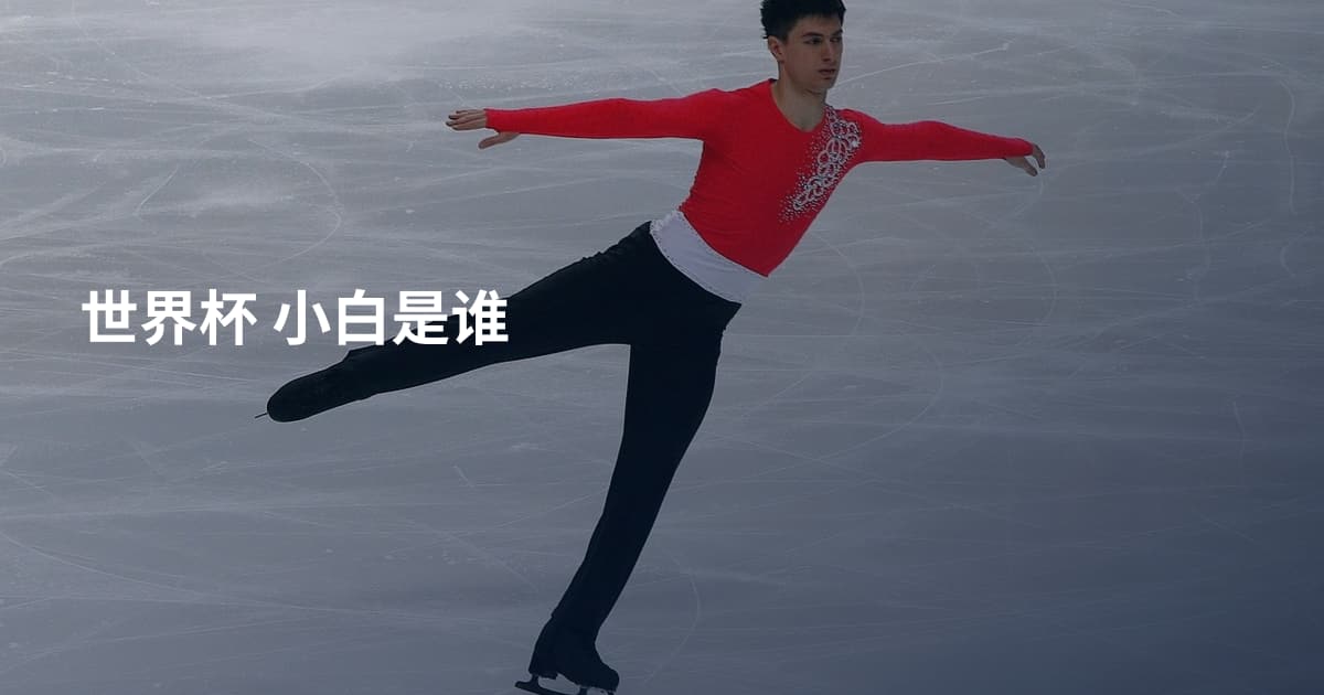 世界杯 小白是谁
