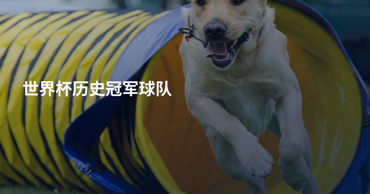 世界杯历史冠军球队
