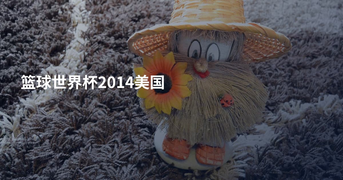 篮球世界杯2014美国