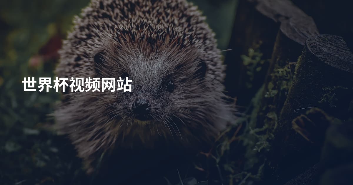 世界杯视频网站