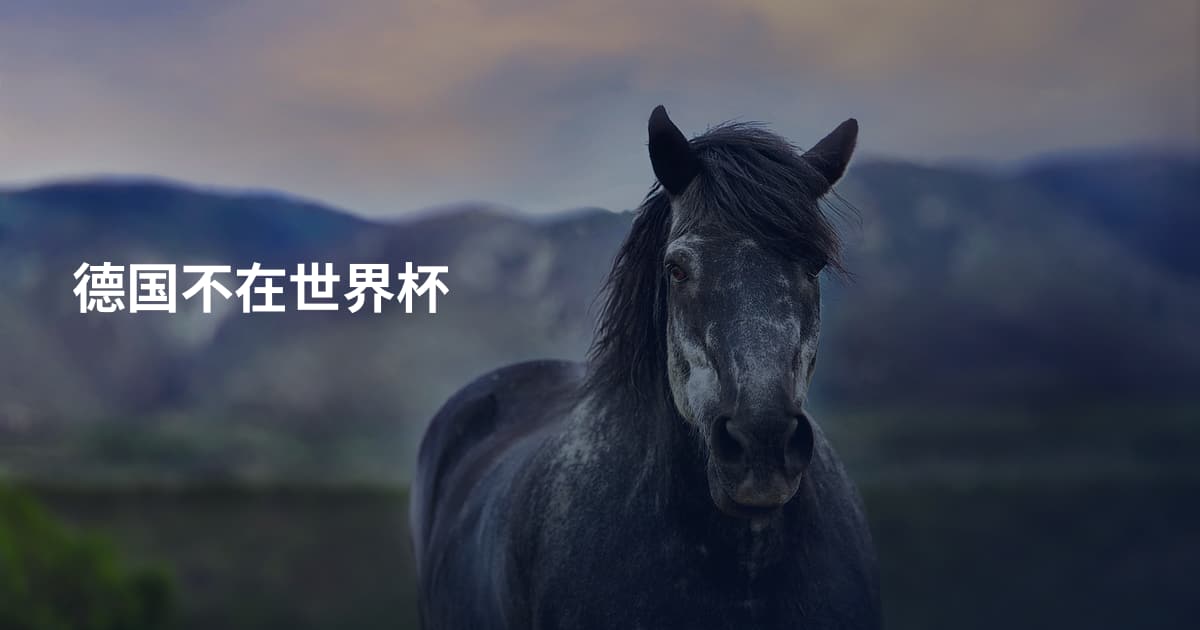 德国不在世界杯
