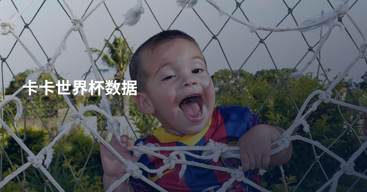 卡卡世界杯数据