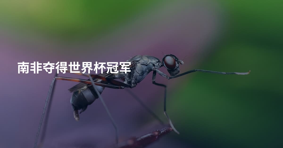 南非夺得世界杯冠军