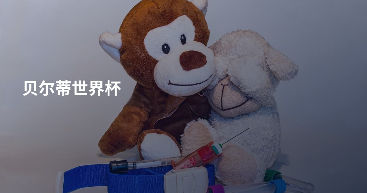 贝尔蒂世界杯
