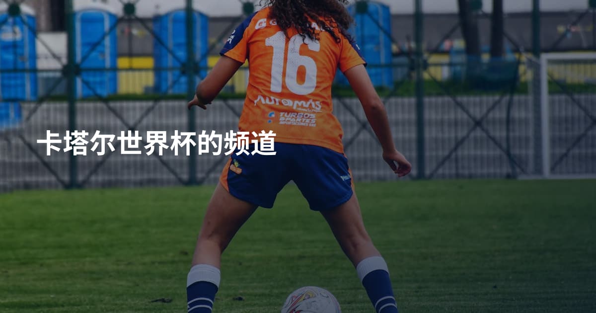 卡塔尔世界杯的频道