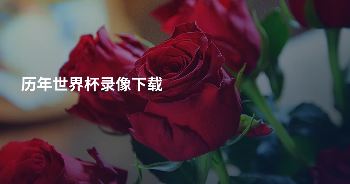 历年世界杯录像下载