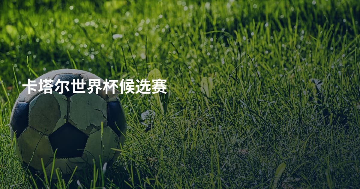 卡塔尔世界杯候选赛