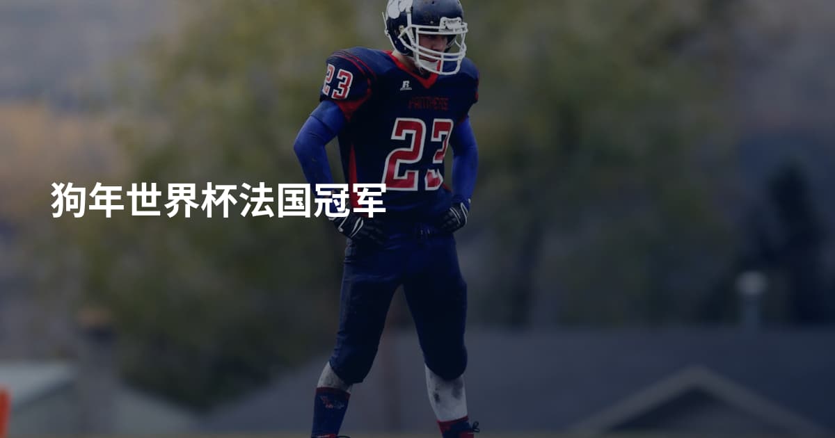 狗年世界杯法国冠军