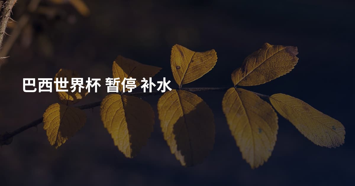 巴西世界杯 暂停 补水