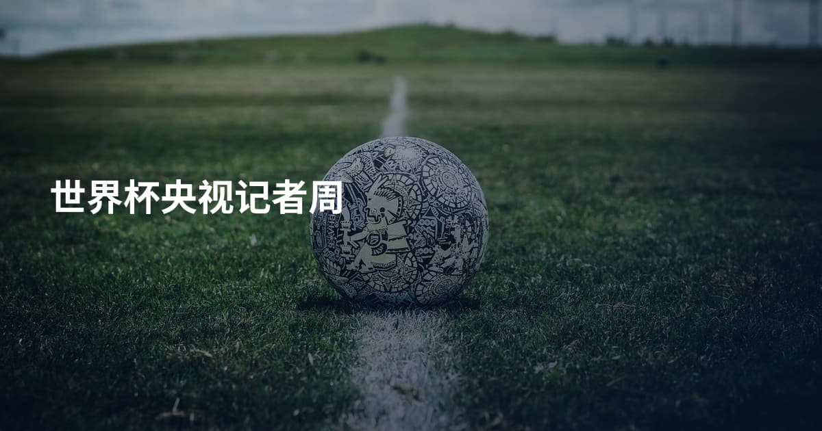 世界杯央视记者周
