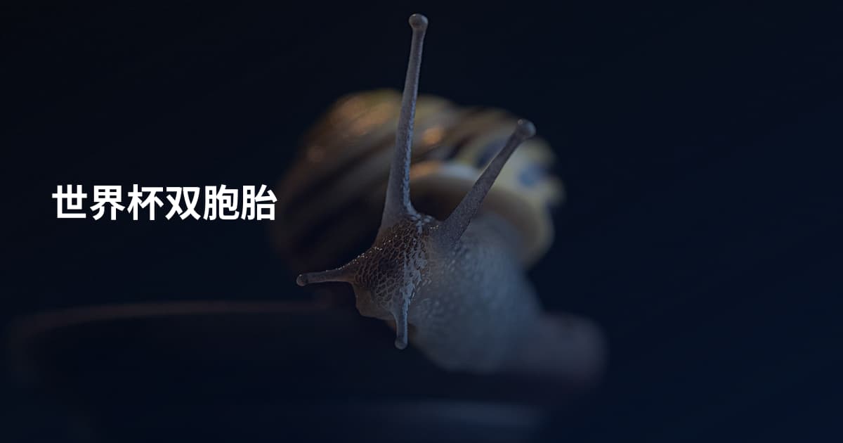世界杯双胞胎