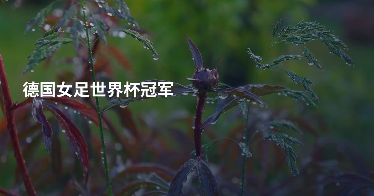 德国女足世界杯冠军