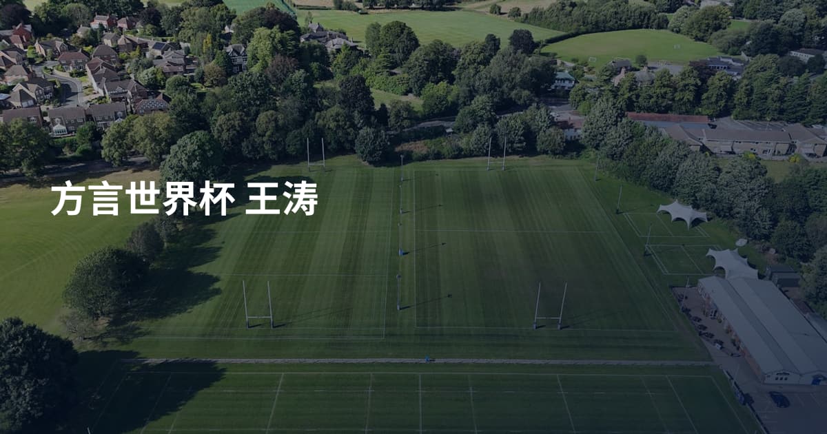方言世界杯 王涛