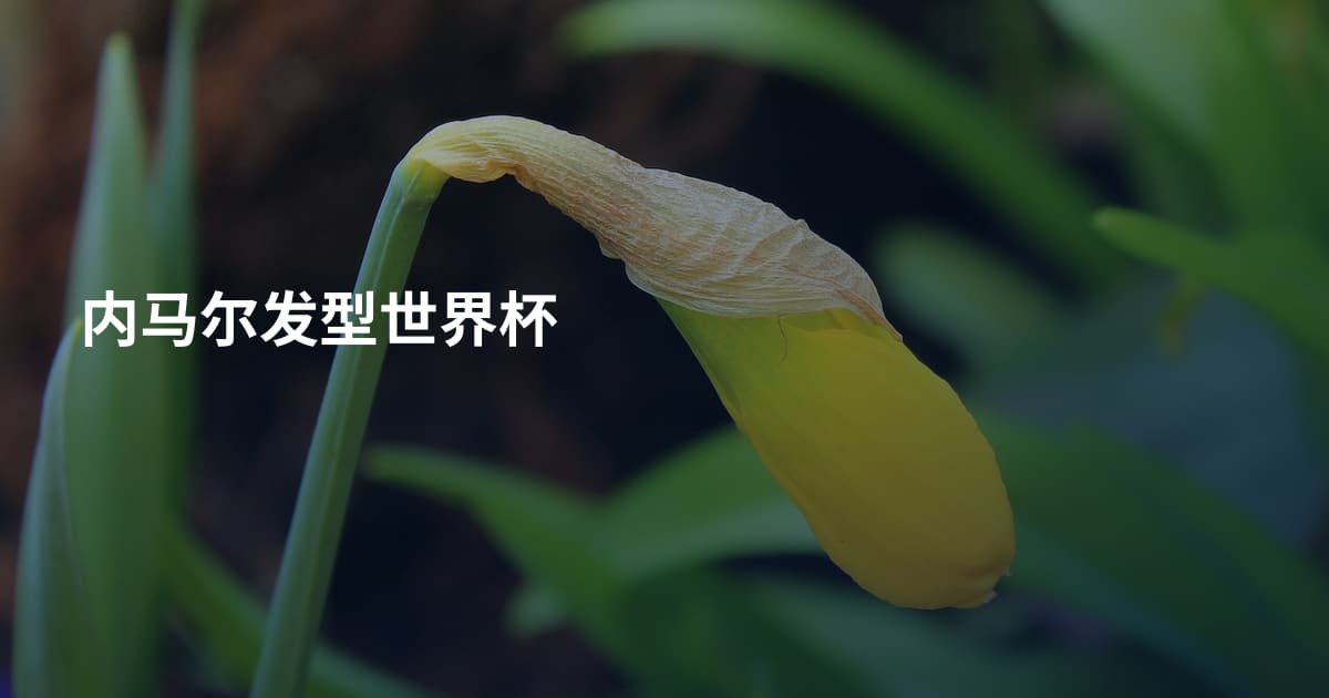 内马尔发型世界杯