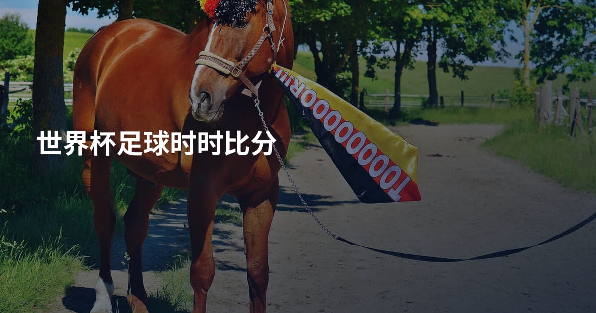 世界杯足球时时比分