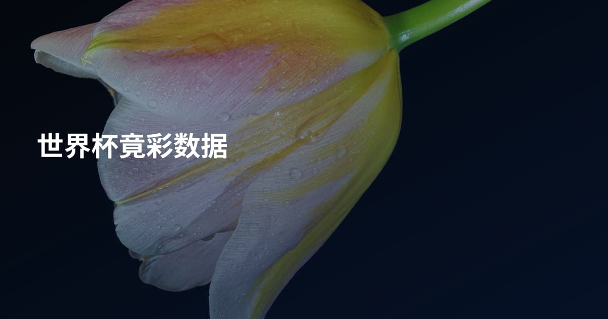 世界杯竟彩数据