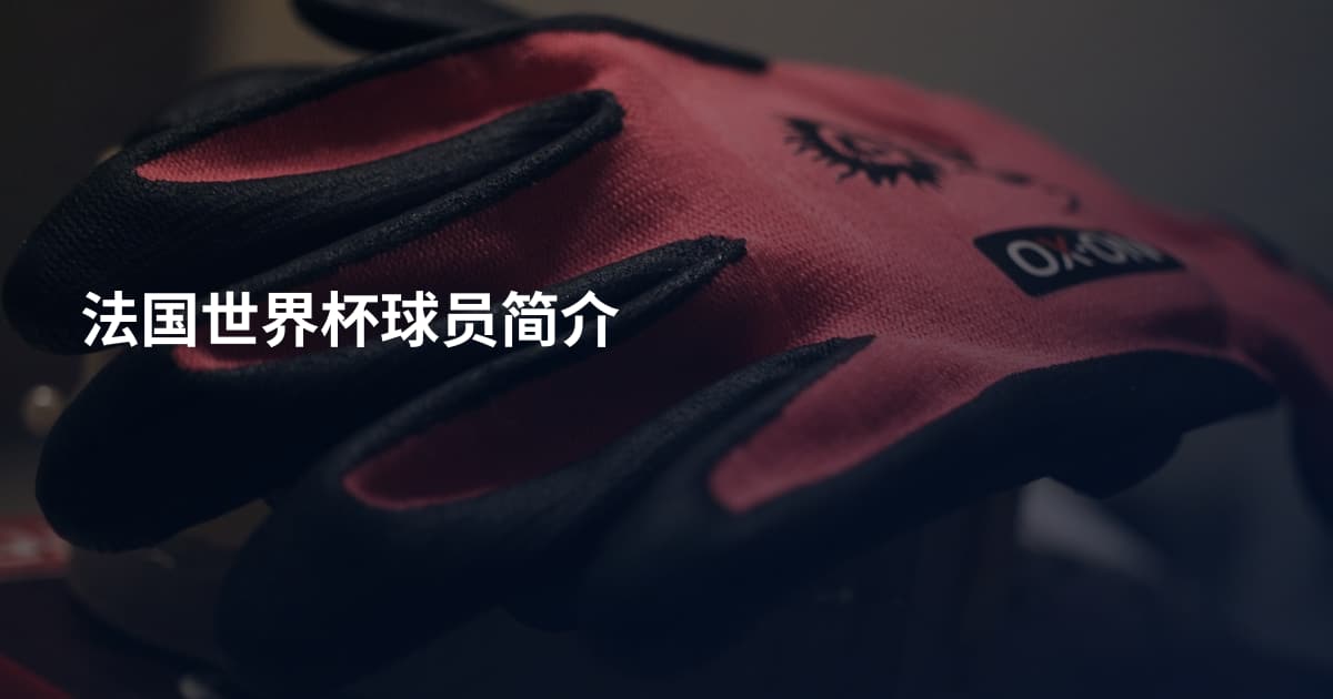法国世界杯球员简介