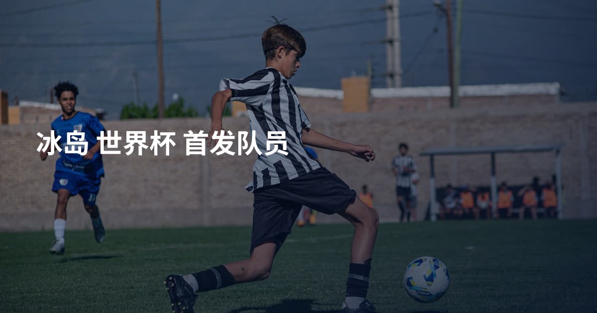 冰岛 世界杯 首发队员