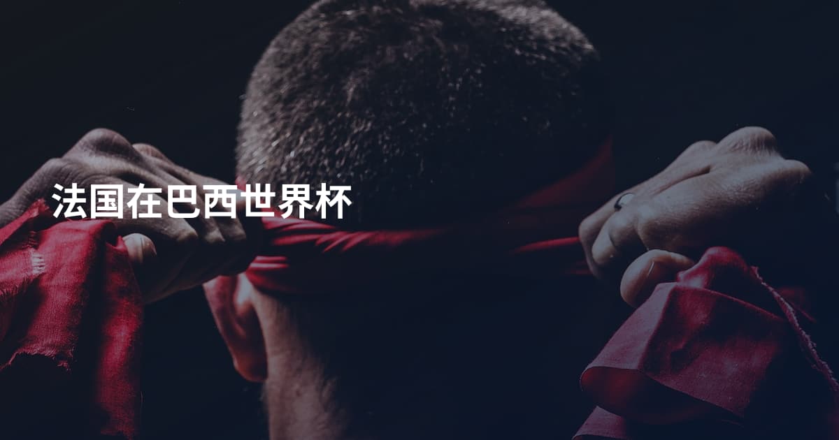 法国在巴西世界杯
