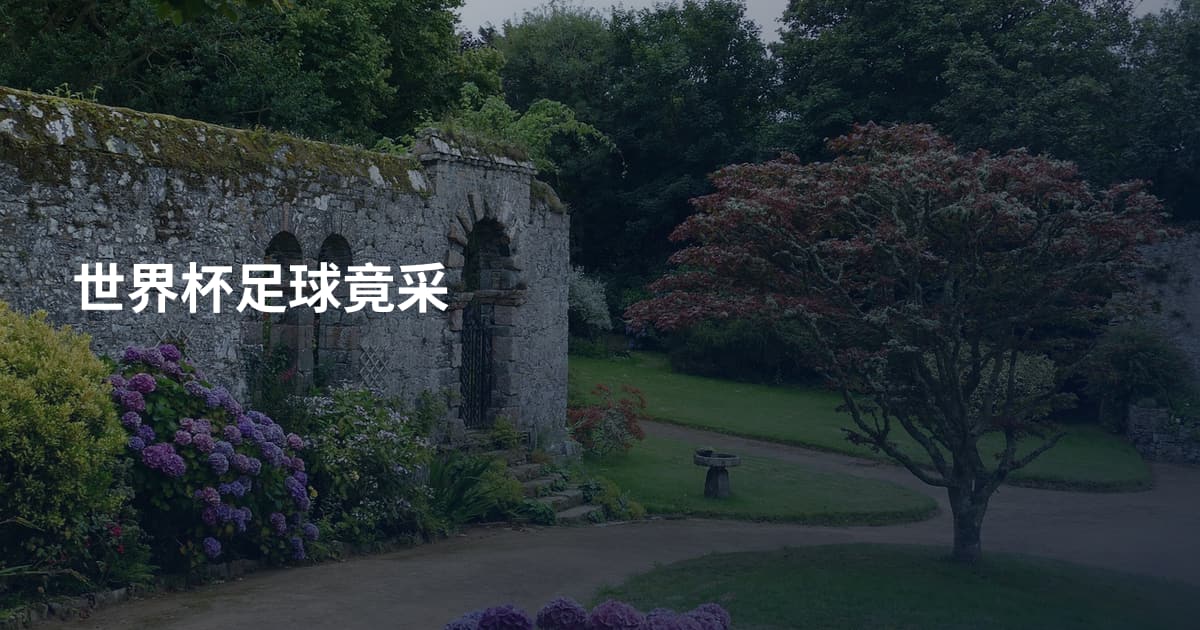 世界杯足球竟采